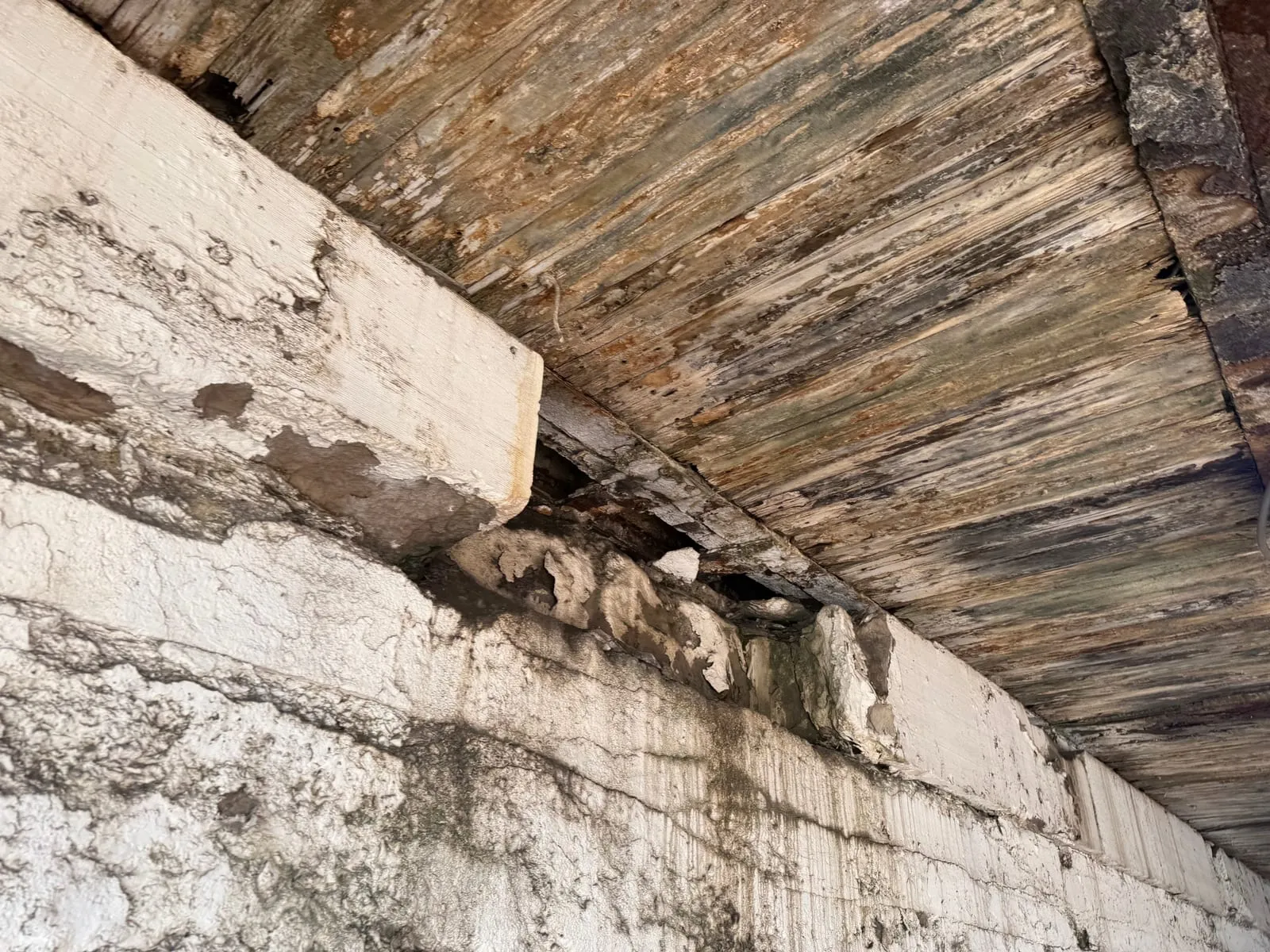 Concrete missing from the underside of the railroad bridge over 36th and Campbell